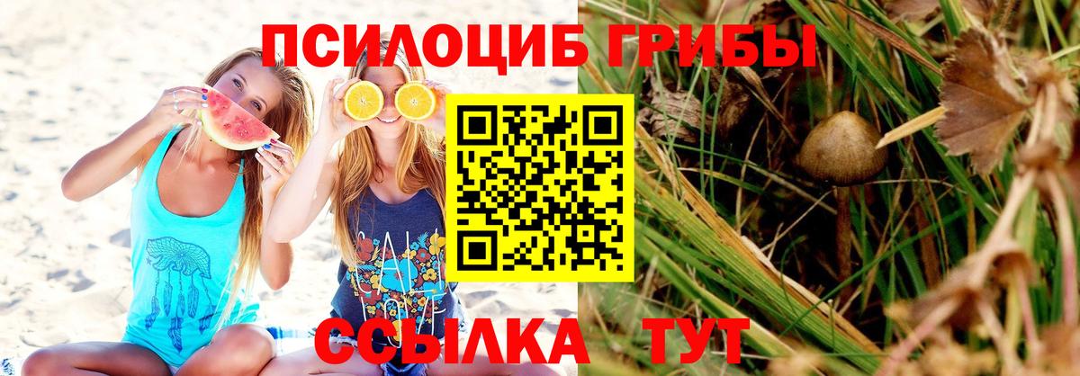 Псилоцибиновые грибы MAGIC MUSHROOMS  что такое наркотик  Каспийск  Вход с VPN 