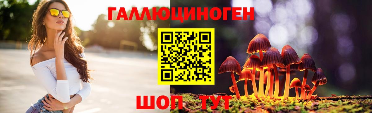 Псилоцибиновые грибы Cubensis Каспийск